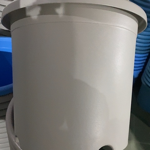 树脂四季5号微瑕灰白无托6个