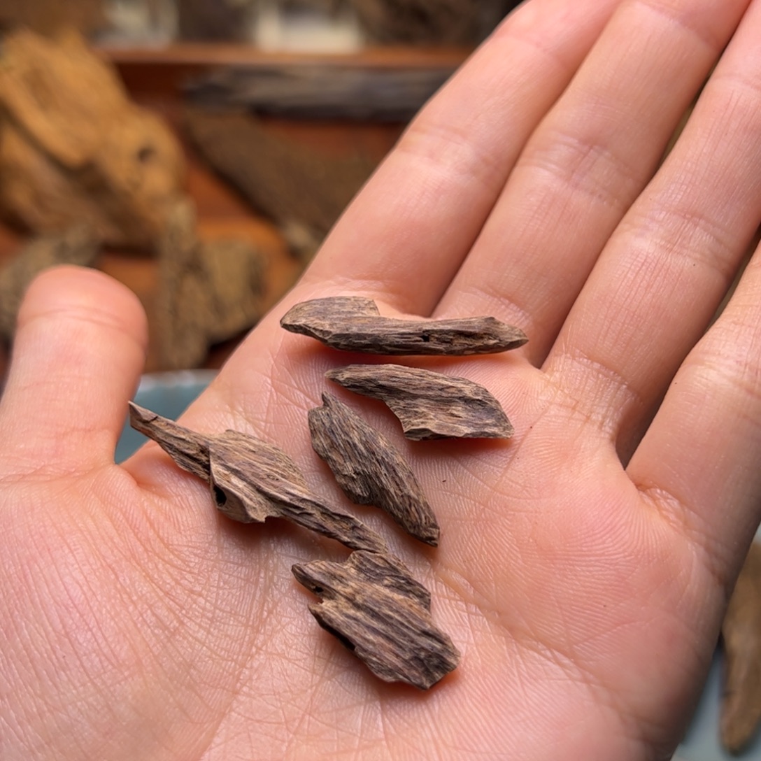 香料越南树心虫漏2克