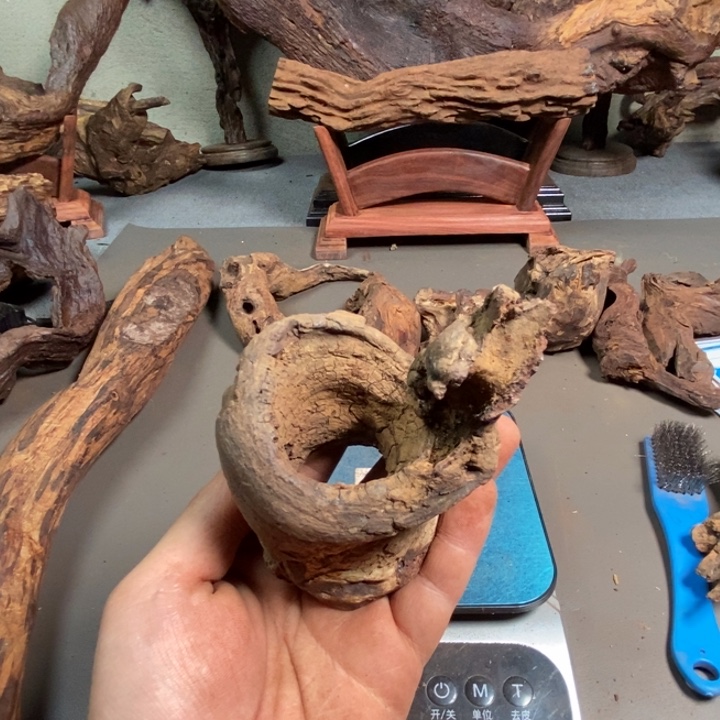 黄花梨/降香黄檀隋*