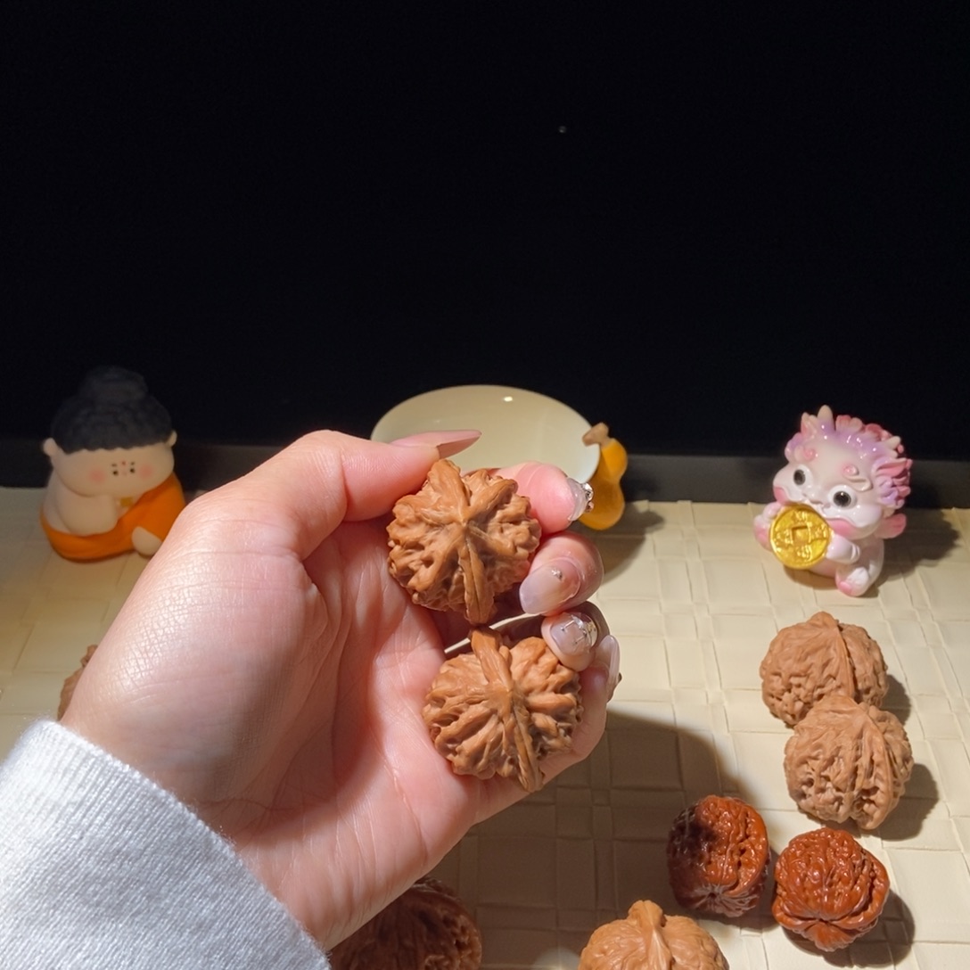 菩提籽类大龙35.5