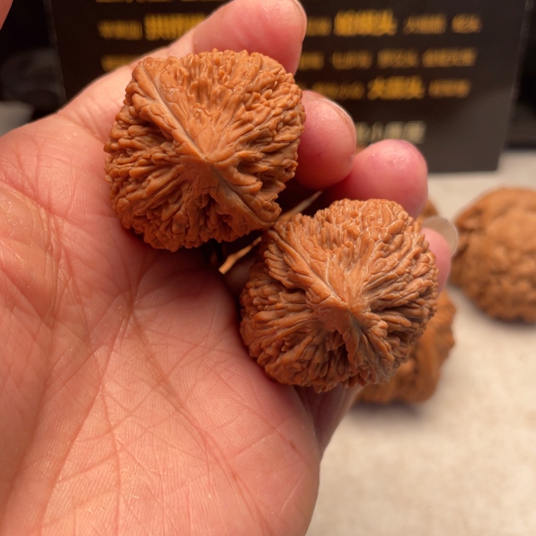 文玩核桃把件郸****腿34尺全品大蒜头