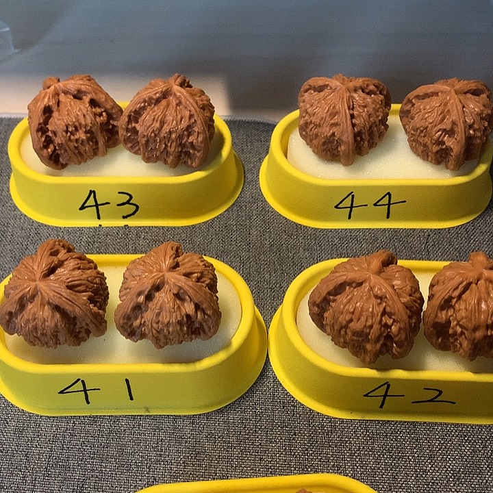 净***流吊坠文玩核桃1111111