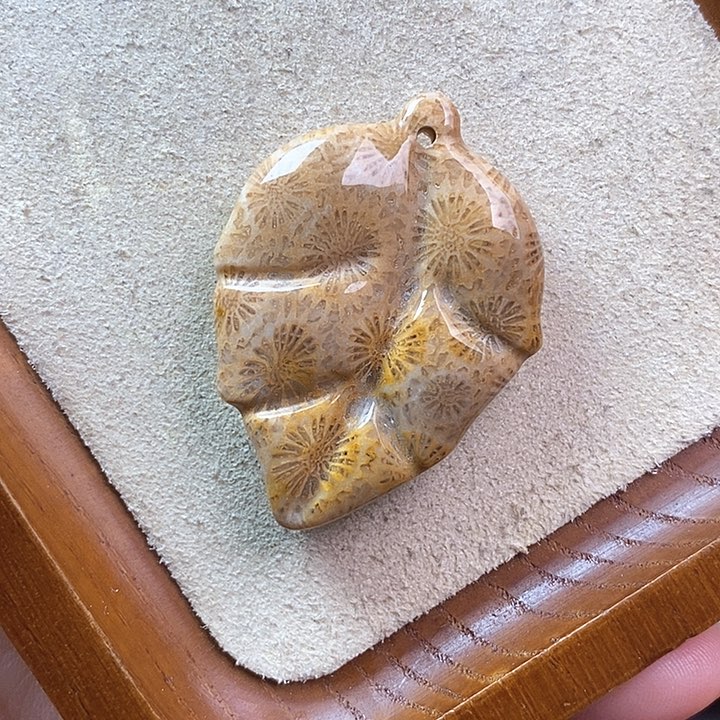 硅化玉颈饰未镶嵌