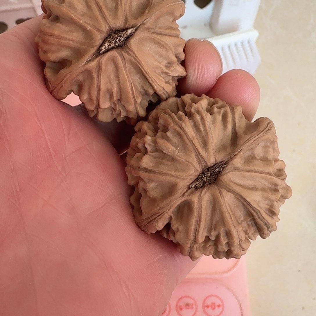 全品42二爷帽狮子头