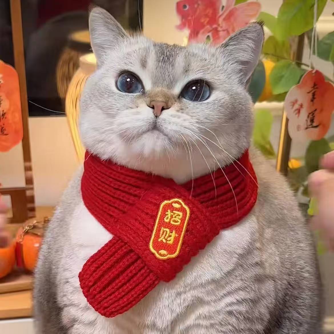 宠物猫咪狗狗通用针织围巾冬季保暖喜庆红色新年装饰品网红春节