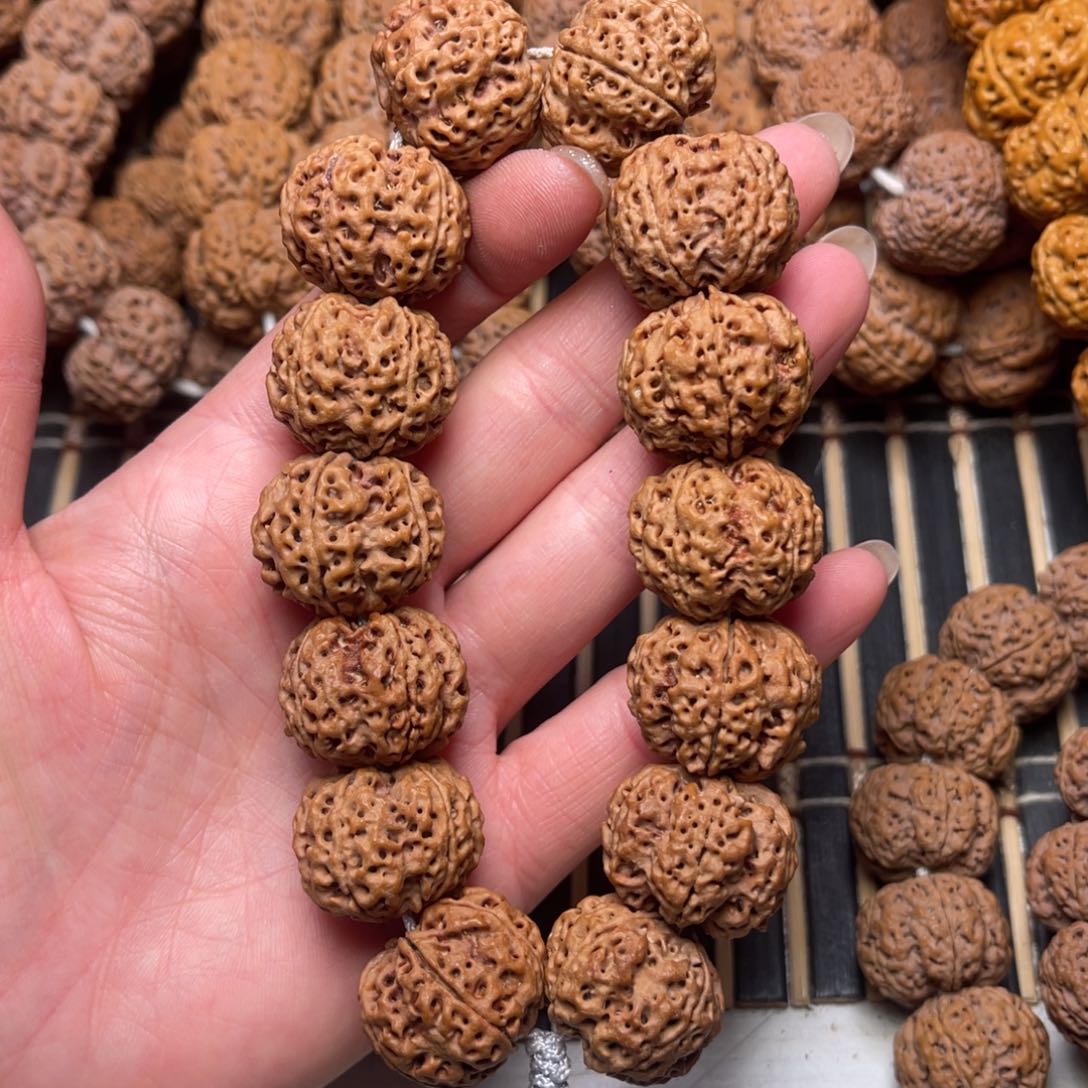 菩提原生态梅花蜂窝23