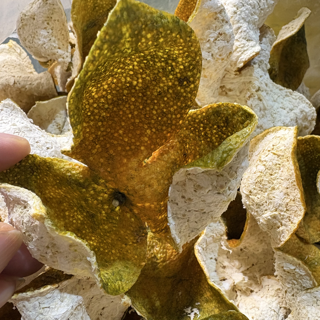 2025年天马二红皮 （老树圈枝）香气浓郁