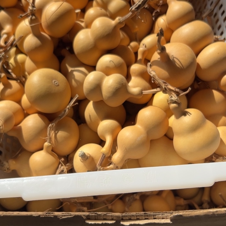 顺***顺大叶紫檀（黑酸枝木类）