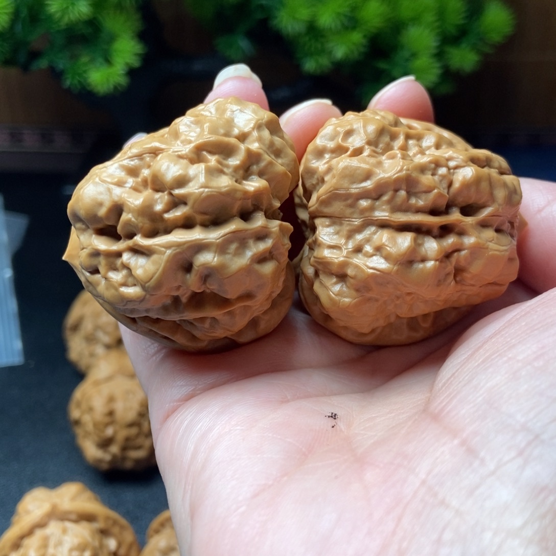 文玩核桃把件蛤蟆头41