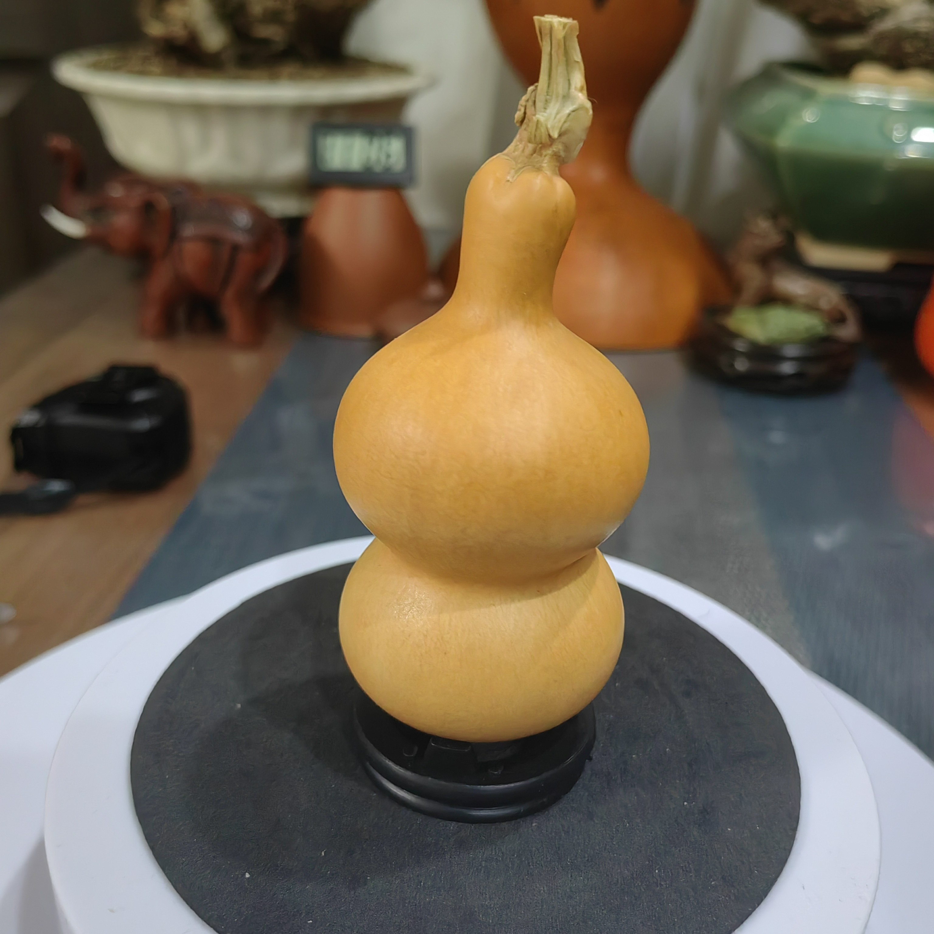 天然小葫芦手把件带龙头厚皮响籽可盘玩文玩福禄葫芦手捻百搭