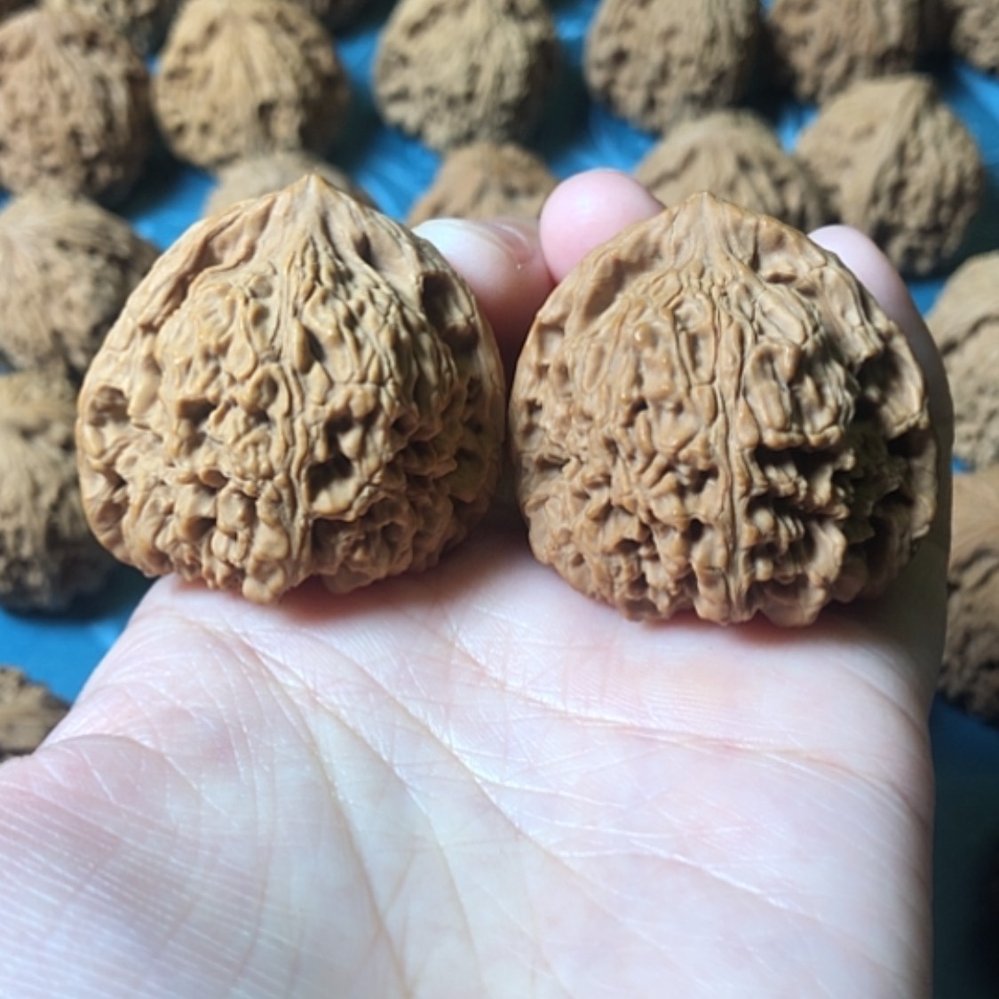 【闪购商品】文玩核桃把件一代将