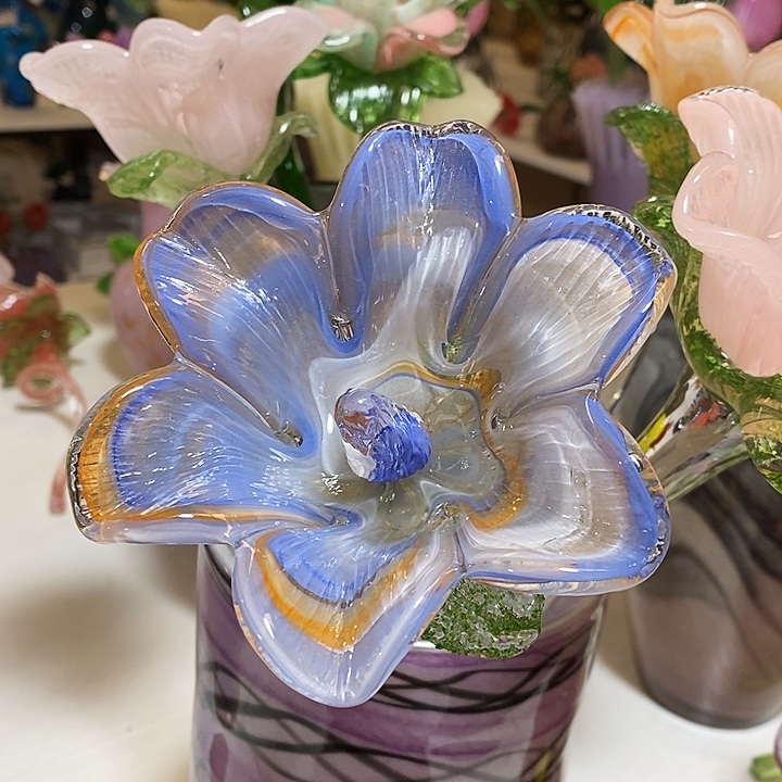 百合花高约42厘米