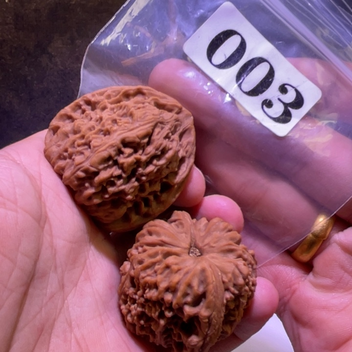 吊坠文玩核桃003南疆40