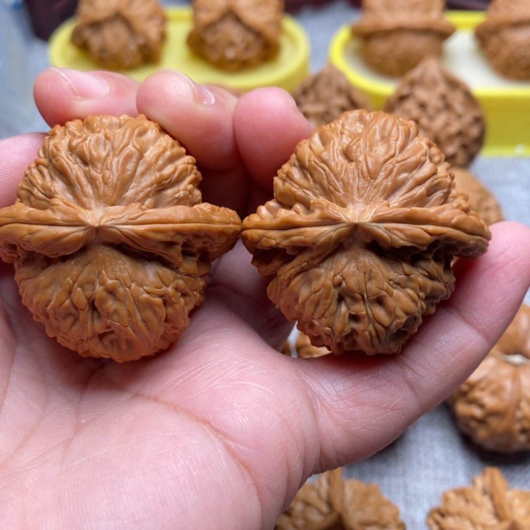 文玩核桃把件42.5全品毕业白狮子克重46.9