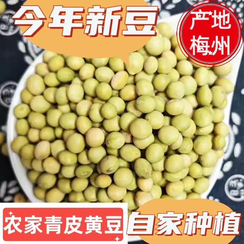 农家自种青皮黄豆老品种高山种植豆浆发豆芽食材