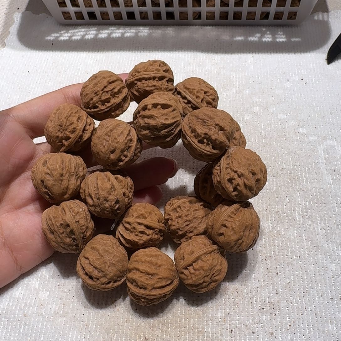 核桃手串/手链50号边25肚23高23