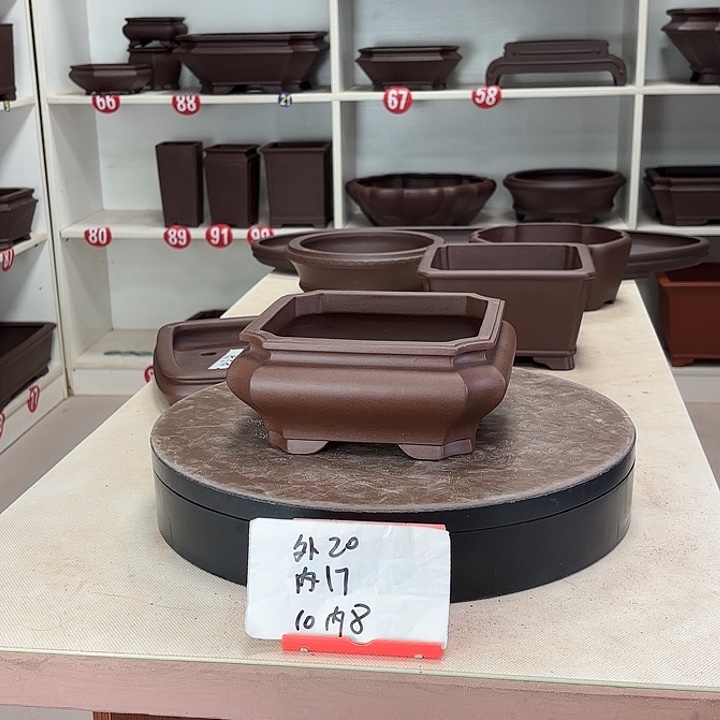 老***4花盆紫砂切角小四方