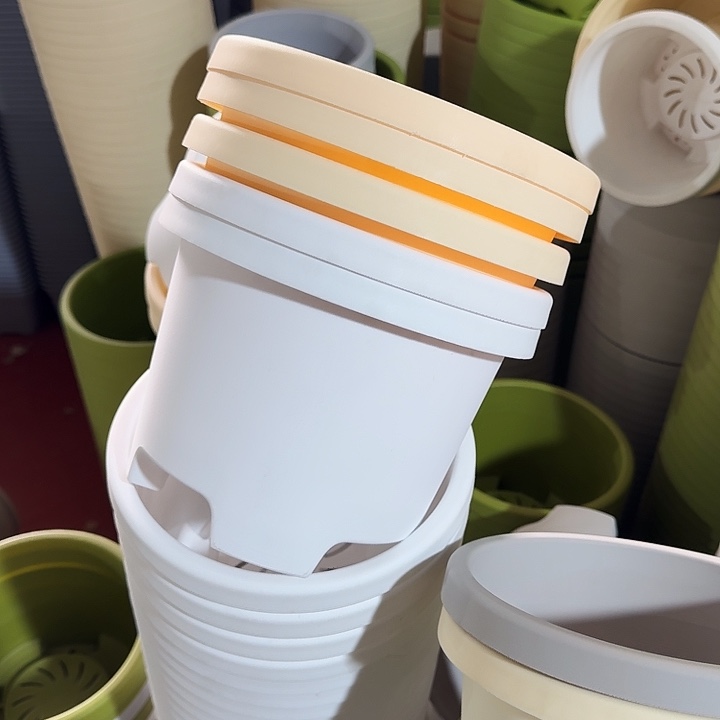 球根21口径6个无托米黄