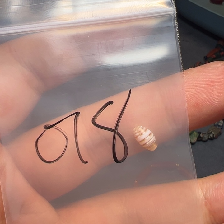 泥塑俗**董三百直播频道