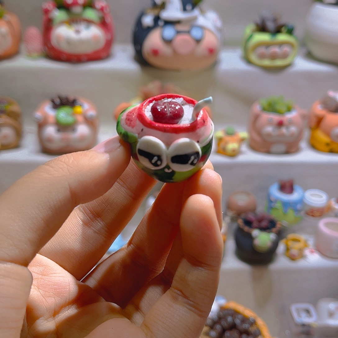 018紫菊带盆土一套26