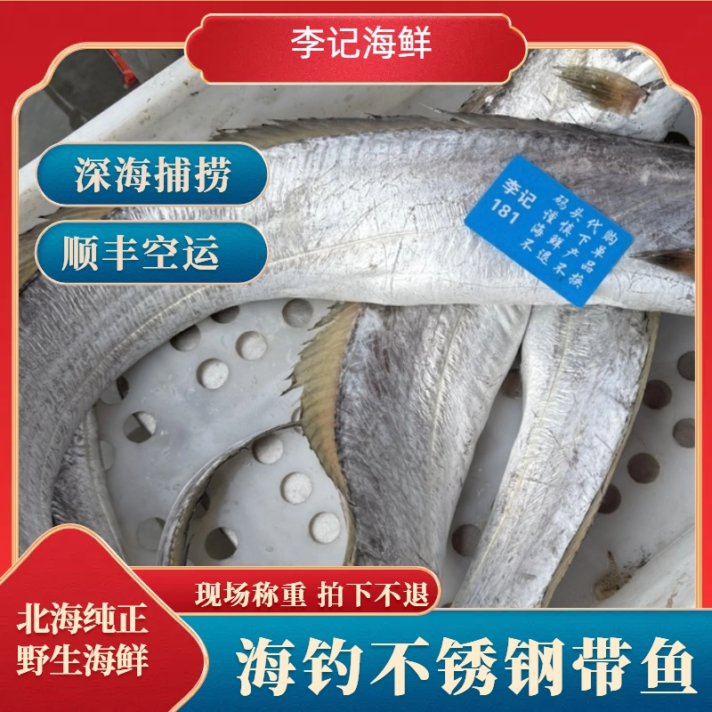 （钓口带鱼）北海本港 新鲜上岸不锈钢带鱼 现买现称 拍下不退