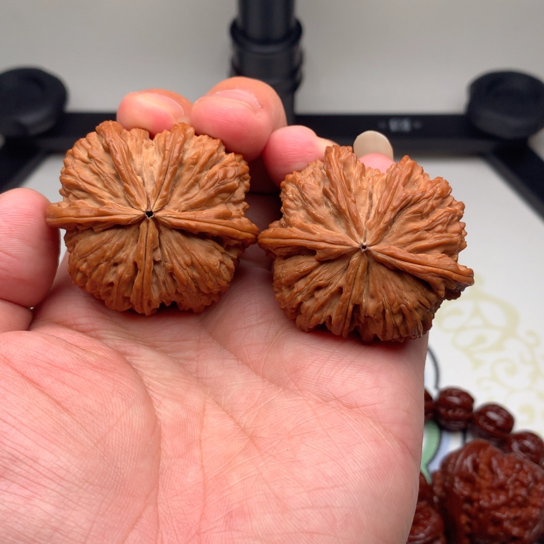 文玩核桃把件白狮子五棱46