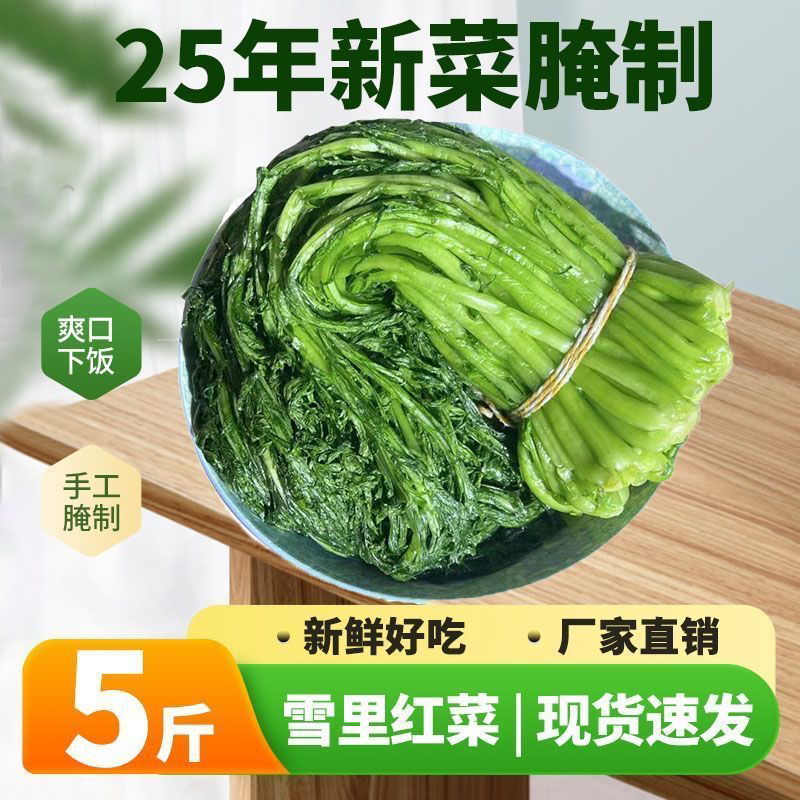 苏北绿雪菜新鲜腌制雪里红农家雪菜雪里蕻新鲜雪菜腌渍
