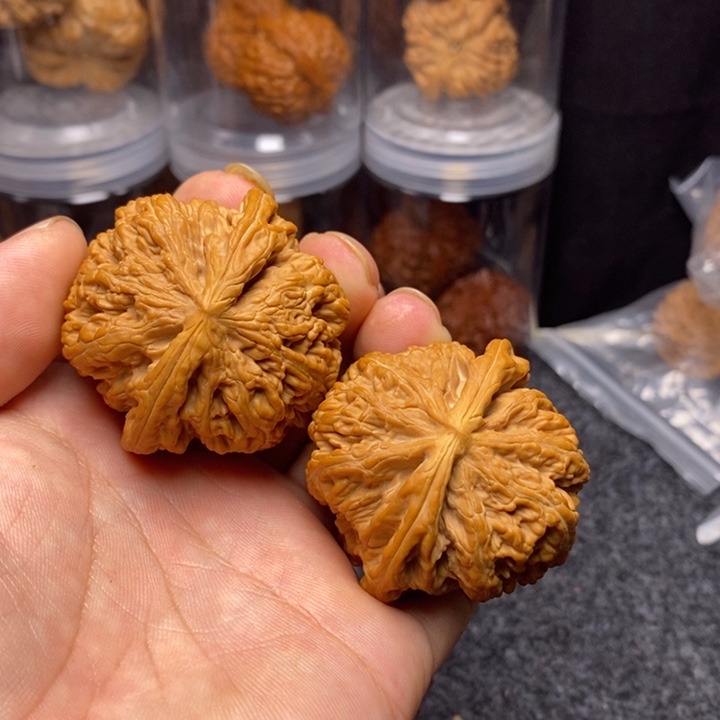 文玩核桃吊坠48大粗筋