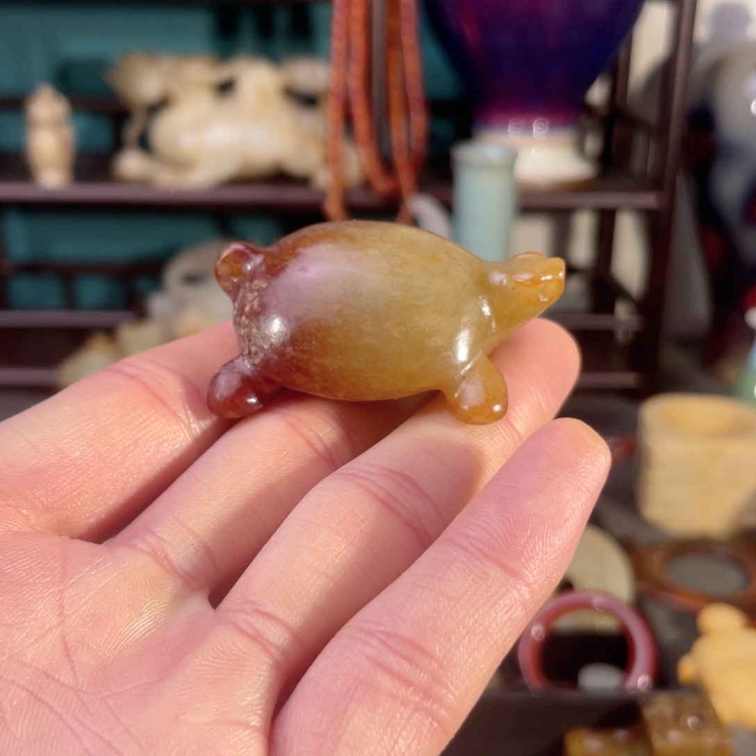 瓶玄龟玉玉玉玉玉玉