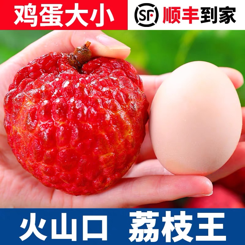 【顺丰明天到】海南荔枝王1-4斤新鲜水果当季火山口荔枝王荔枝同城送