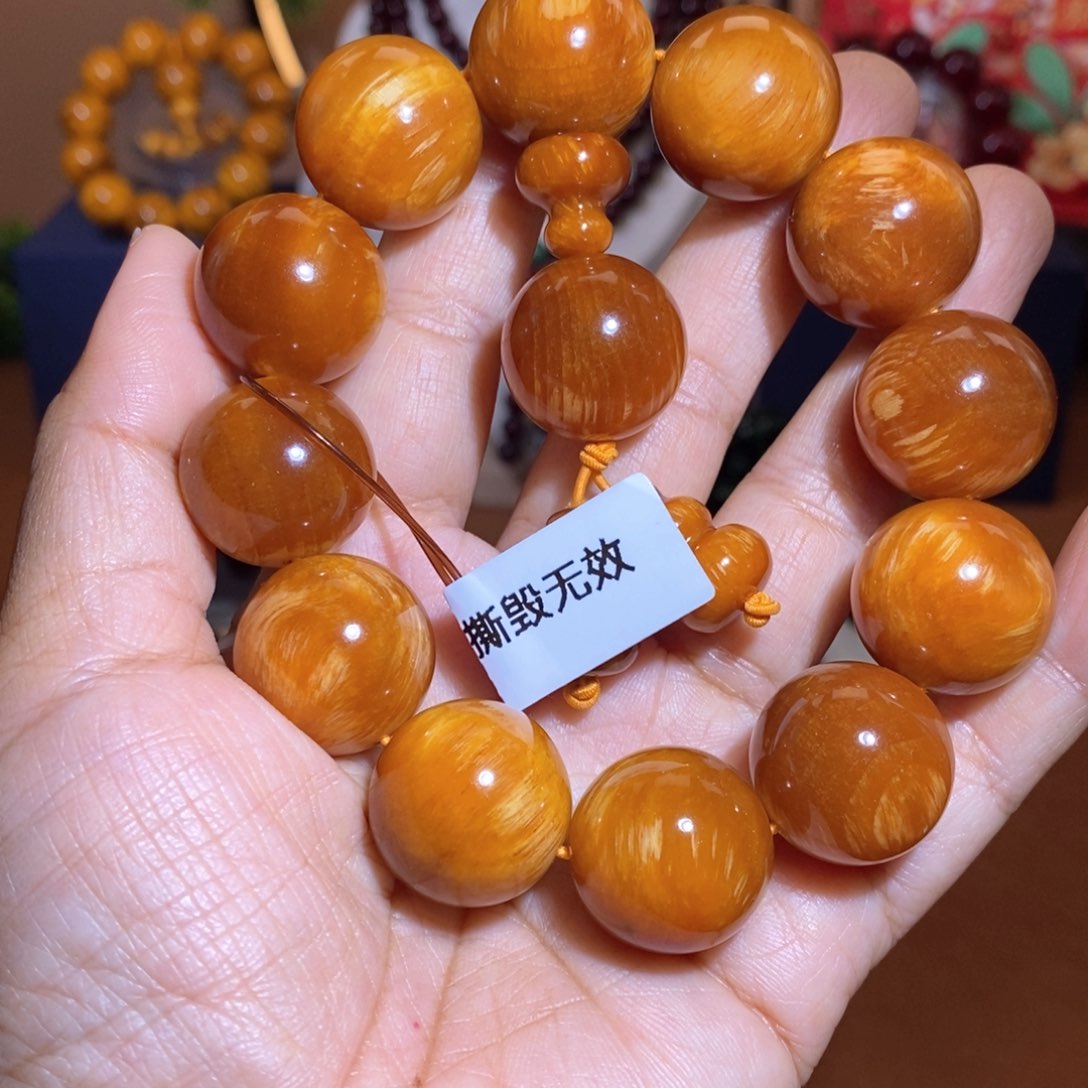 贝壳杉2.0糖心玉化高货