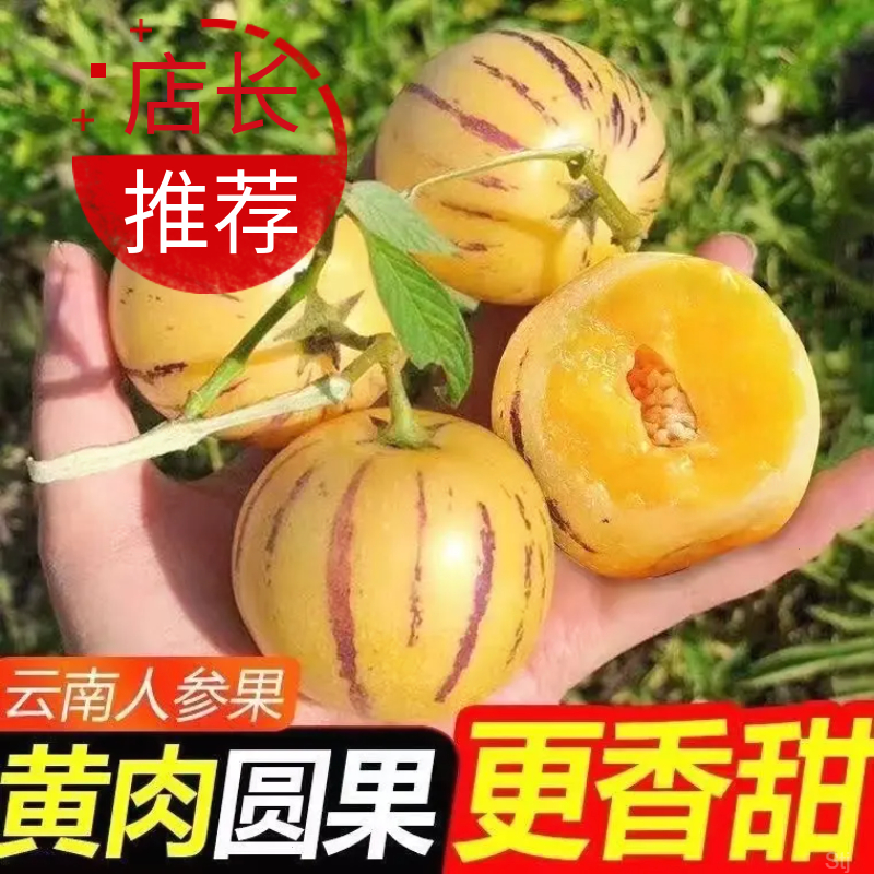 【5斤批发】云南石林人参果新鲜应季孕妇水果黄肉应季大果整箱包邮