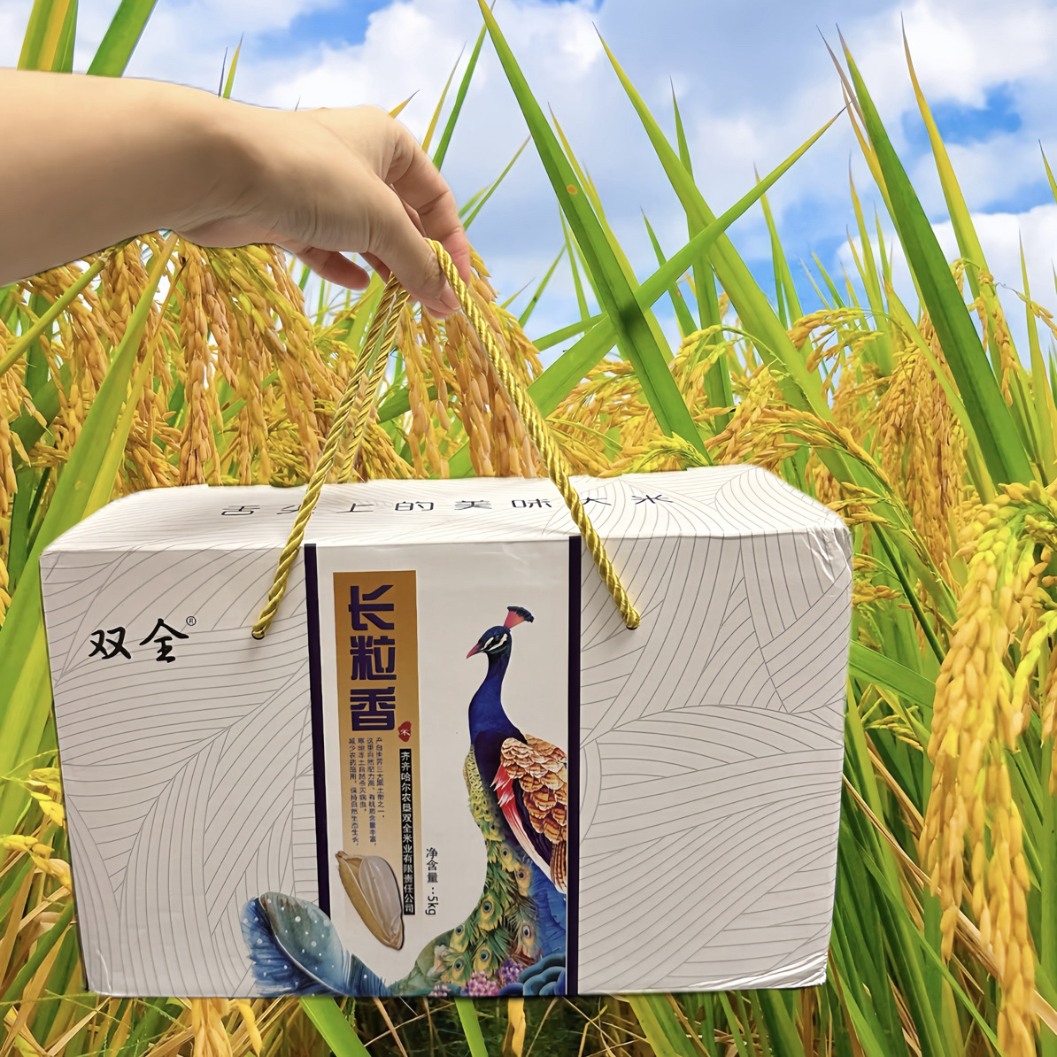 礼盒装塑封小包装东北大米长粒香原产地10斤5kg