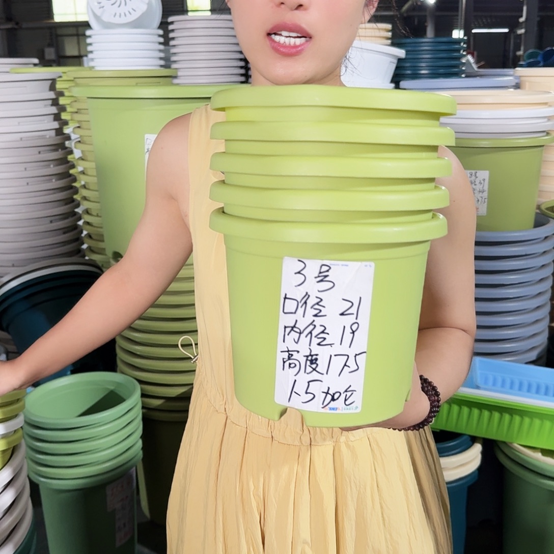 微瑕3#口径21无拖果绿10个