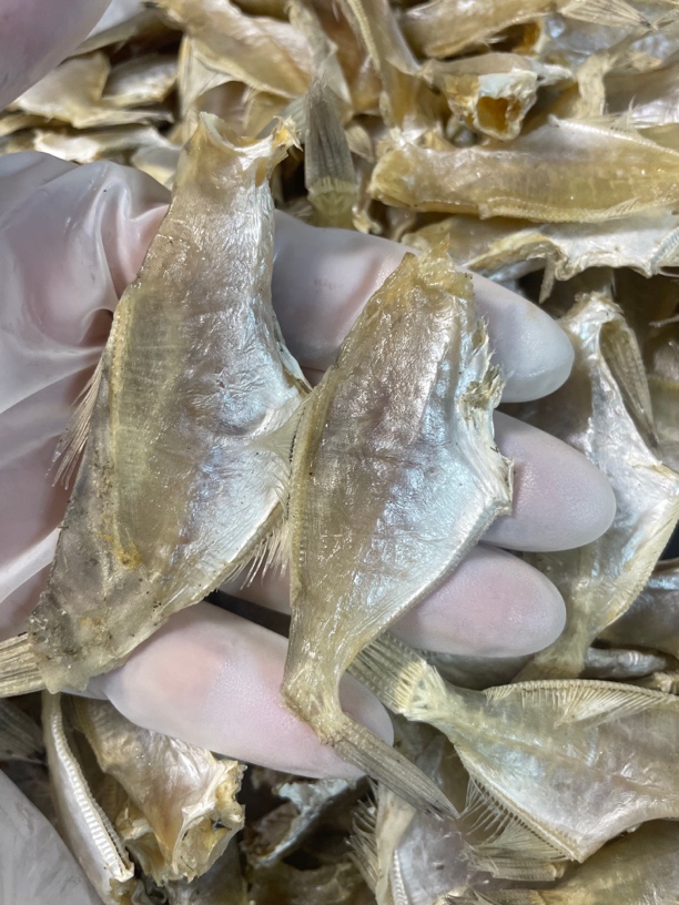 本港扒皮鱼迪仔干半咸淡