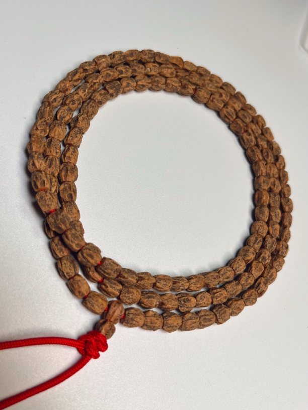 Y376柏香籽红皮脏鬼高桩顺