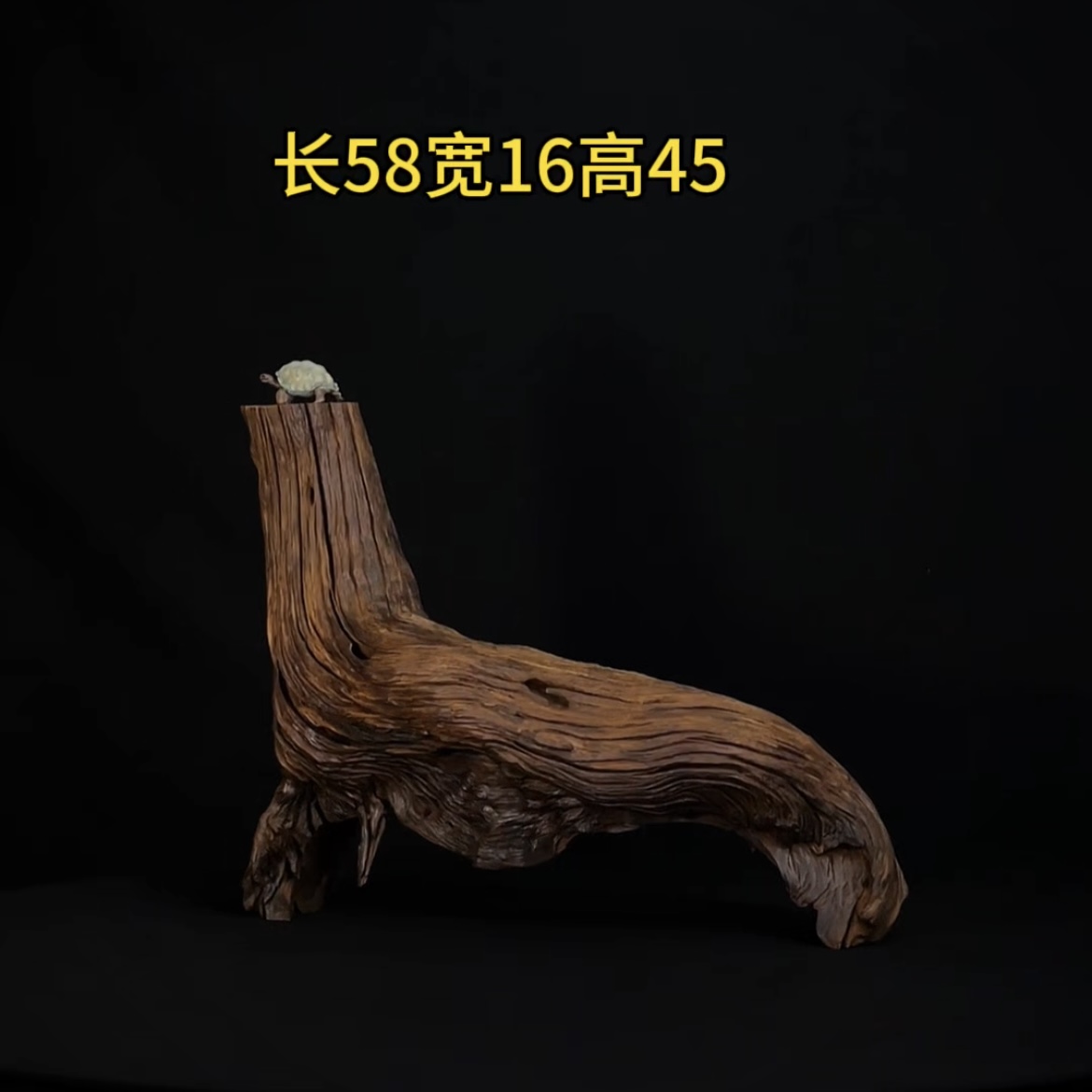 张大狼造景沉木长58cm爆裂树桩圆拱桥 南美鱼缸造景 紫柚木秒沉