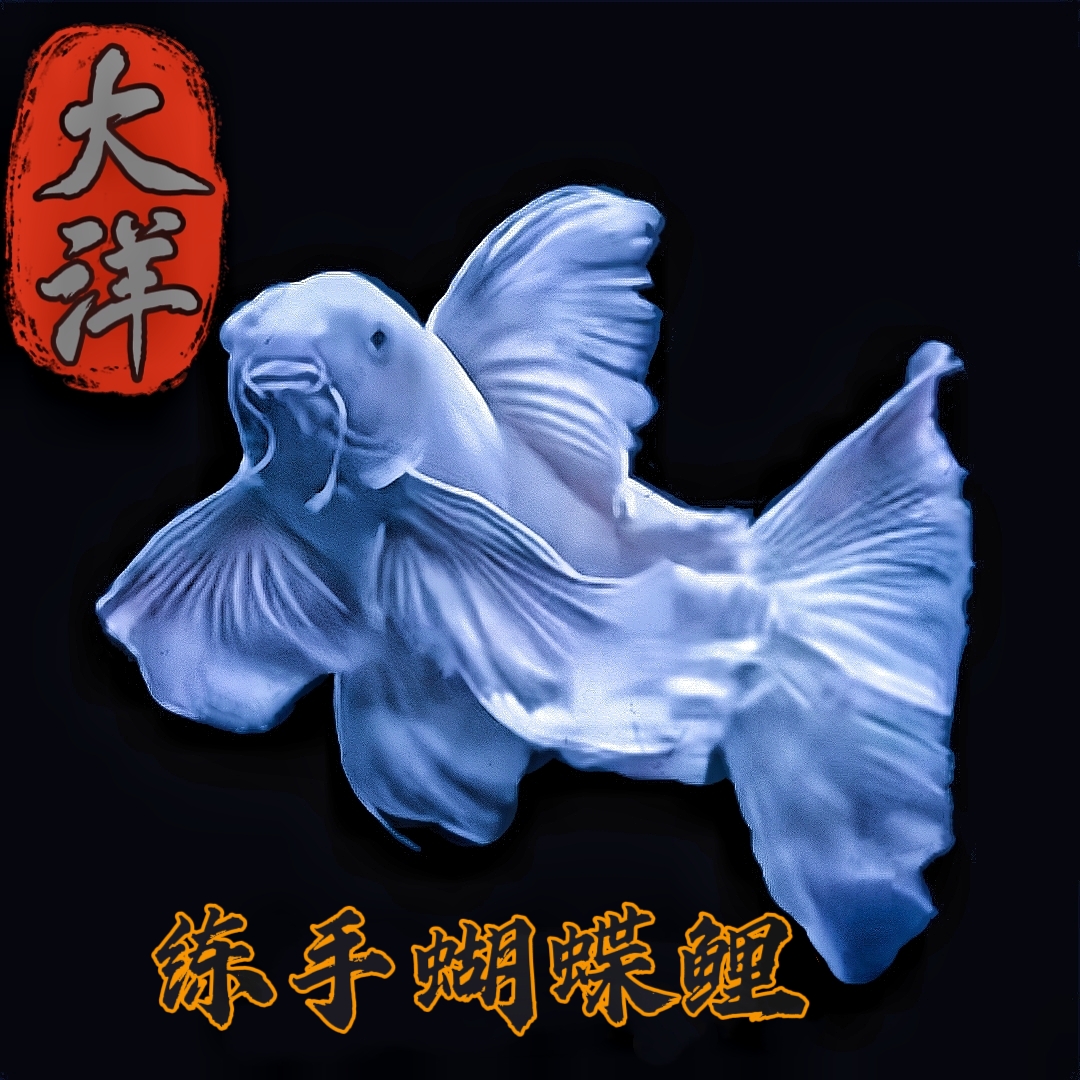 练手鱼（一物一拍）直播专用链接