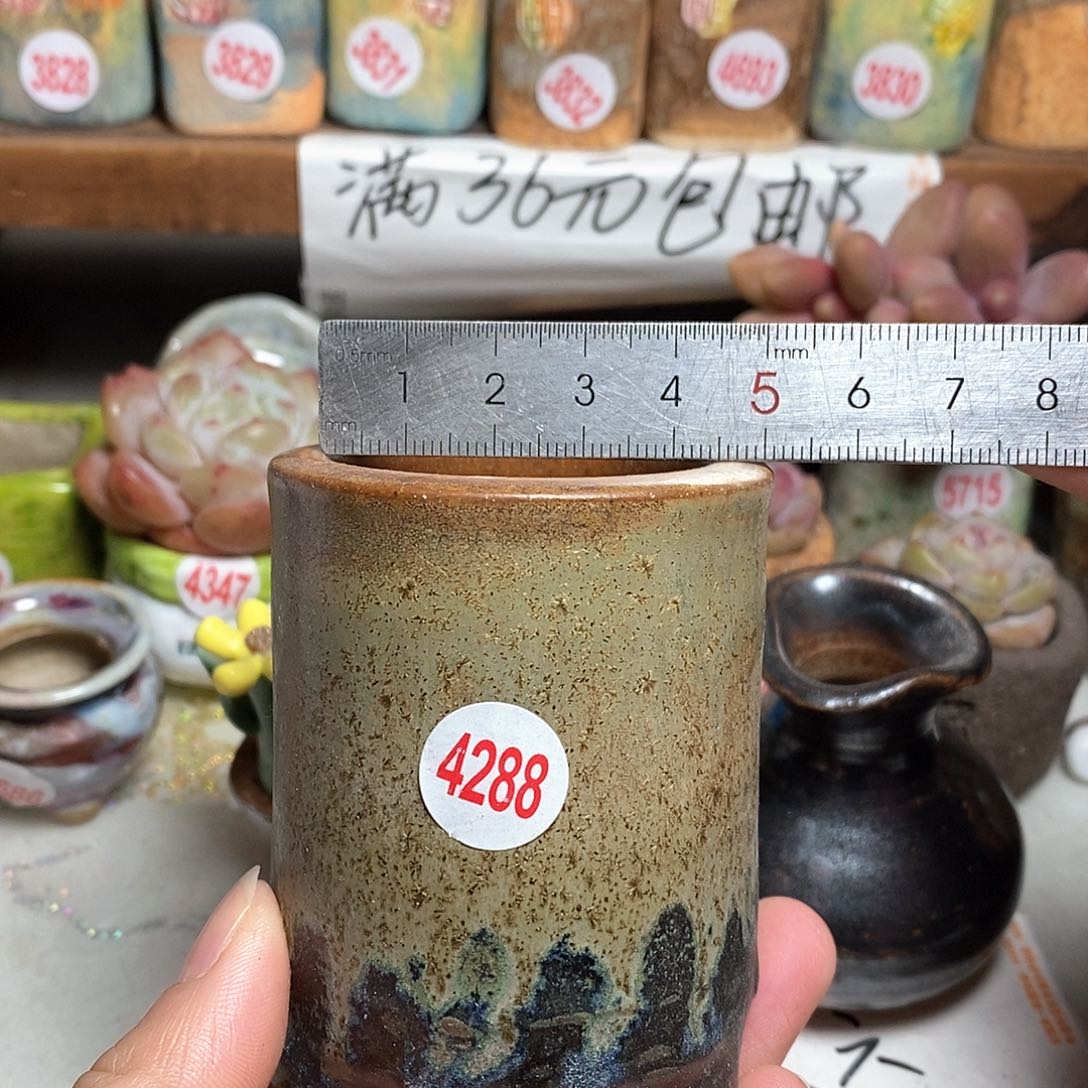 红陶拍5送一个小