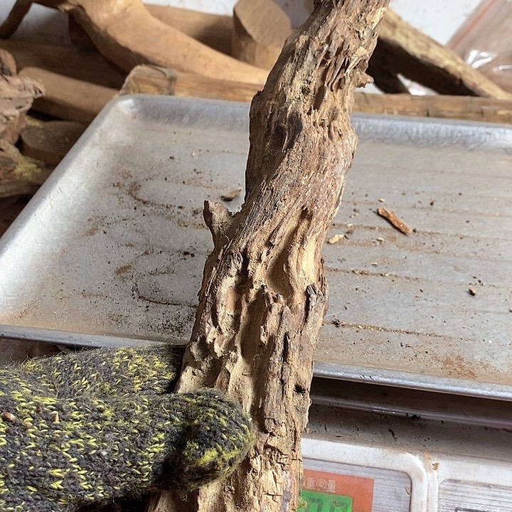 黄花梨/降香黄檀用****8