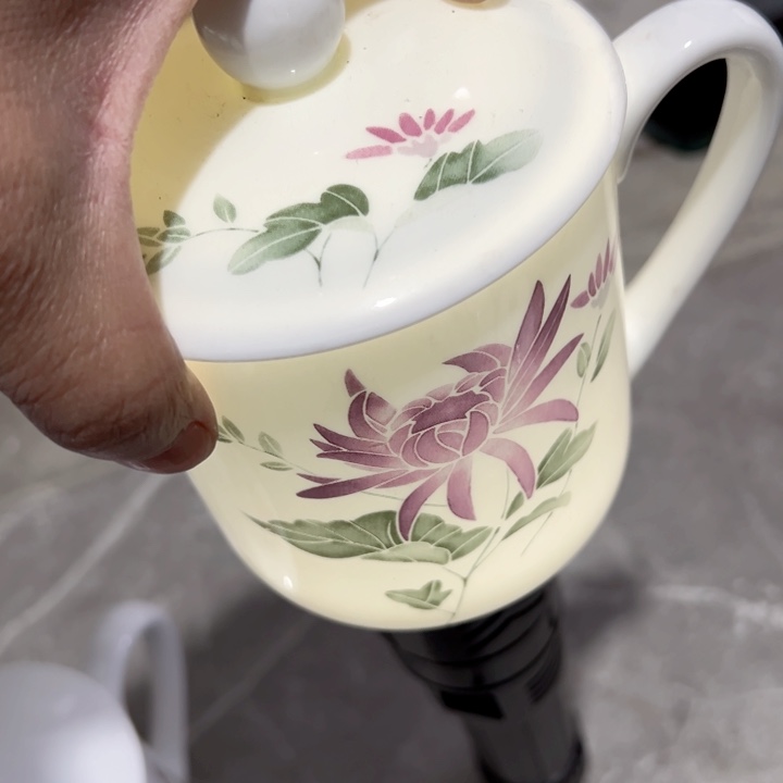 杯红叶办公杯正价