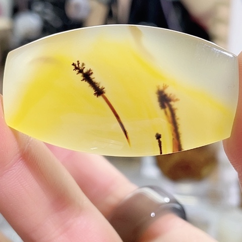 玛瑙/玉髓珠宝奇石未镶嵌