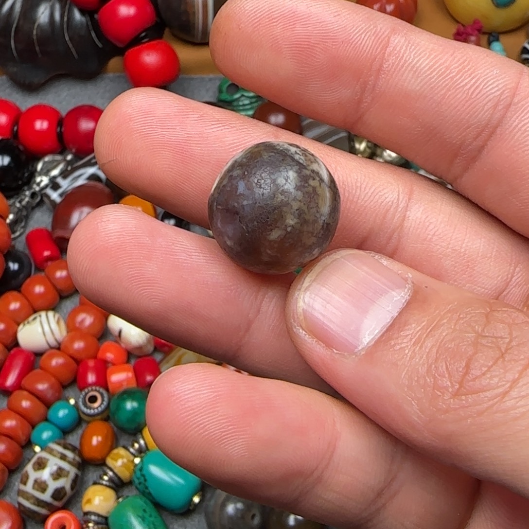 木***杨dhhjyfvvgrtyhhhcvhhhbb