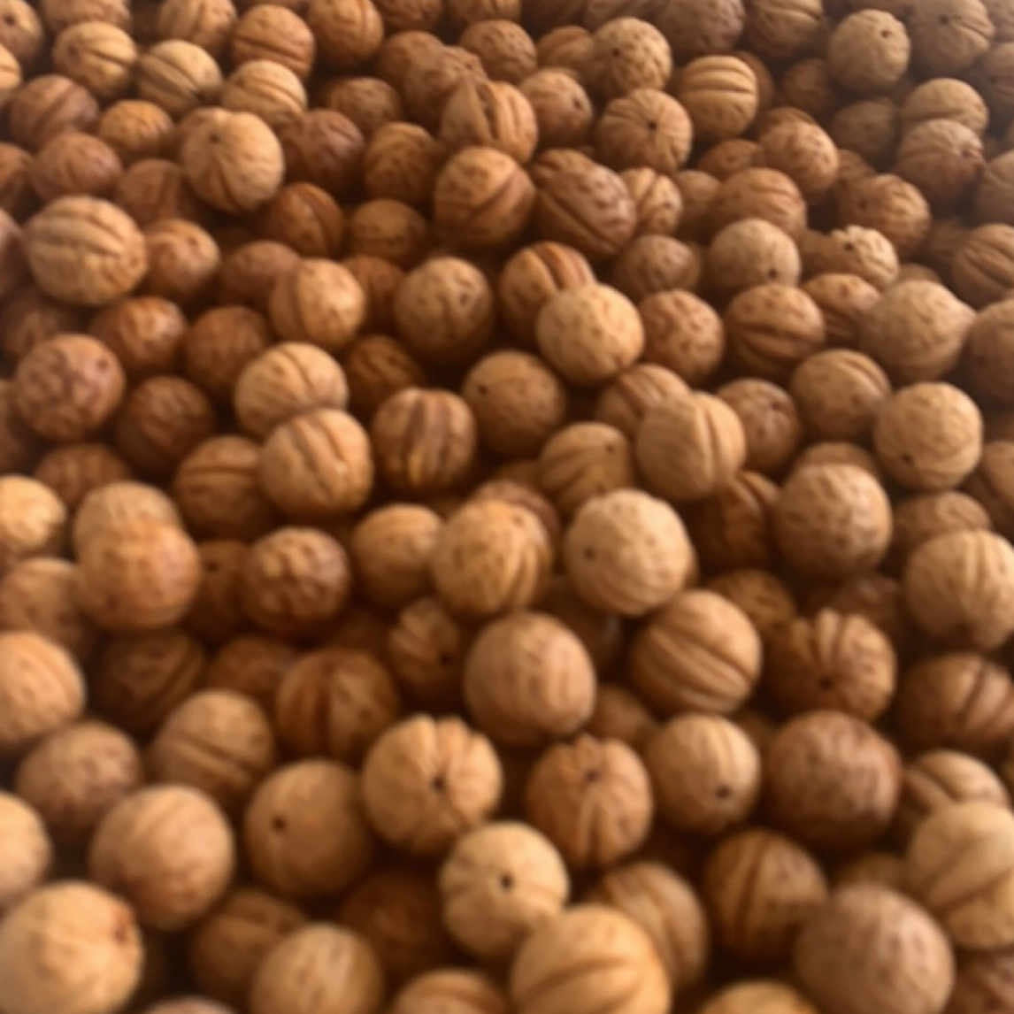 纯野生老树龄小山桃散籽青皮山桃核新货