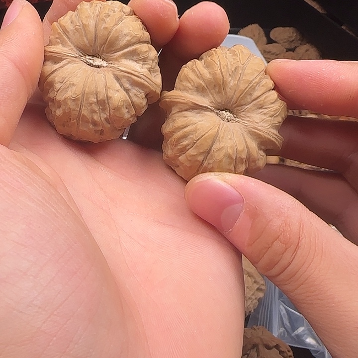 ****吊坠龙脊菩提啊啊啊啊啊啊啊南瓜4