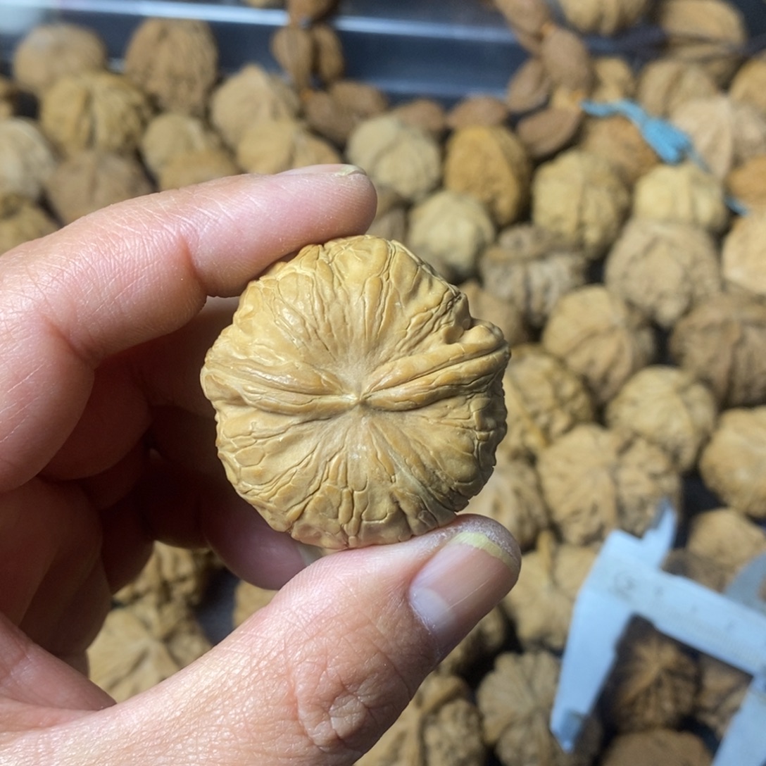 S***n吊坠文玩核桃文玩