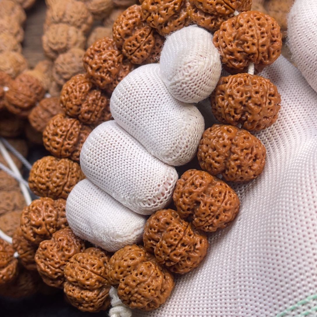 菩提金刚菩提23深沟双龙