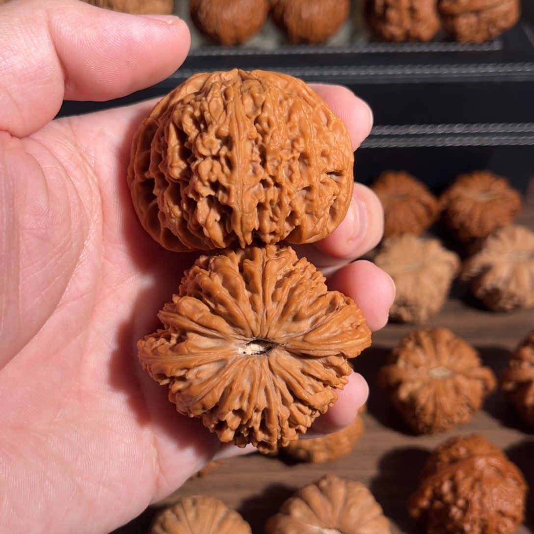 手串/手链核桃50全品毕业凹底红皮赵喜满 55克