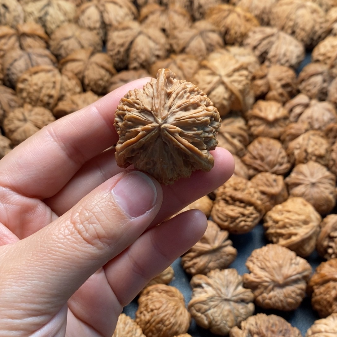 施***️把件文玩核桃38白狮子三棱