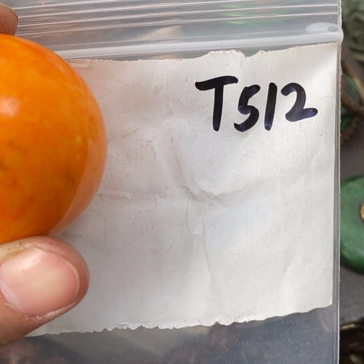 2***6金属德宝文玩专属链接